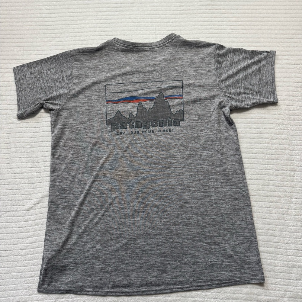 Patagonia Men's Gray Mountain Graphic Tee